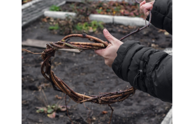 Willow Wreath Workshop in Y Nyth