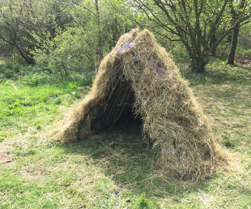Den building Ysgolion a Grwpiau