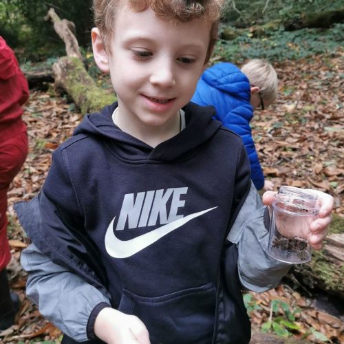 Partïon Pen-blwydd Bryngarw