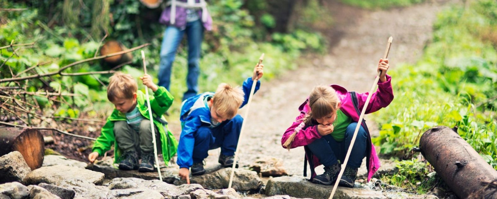 Children looking for bugs at a Bryngarw Birthday Party