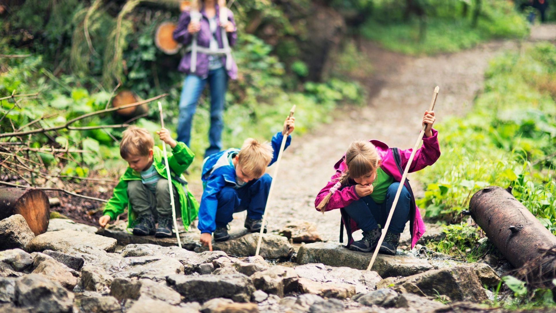 Children looking for bugs at a Bryngarw Birthday Party