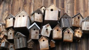 A variety of wooden nestboxes 