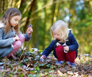 Two children playing in a wooded area