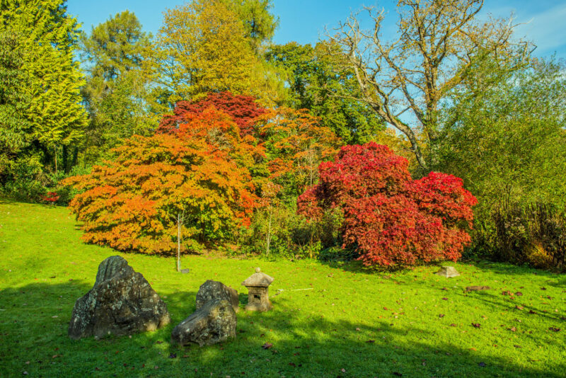 Take part in our Autumn Photo Competition