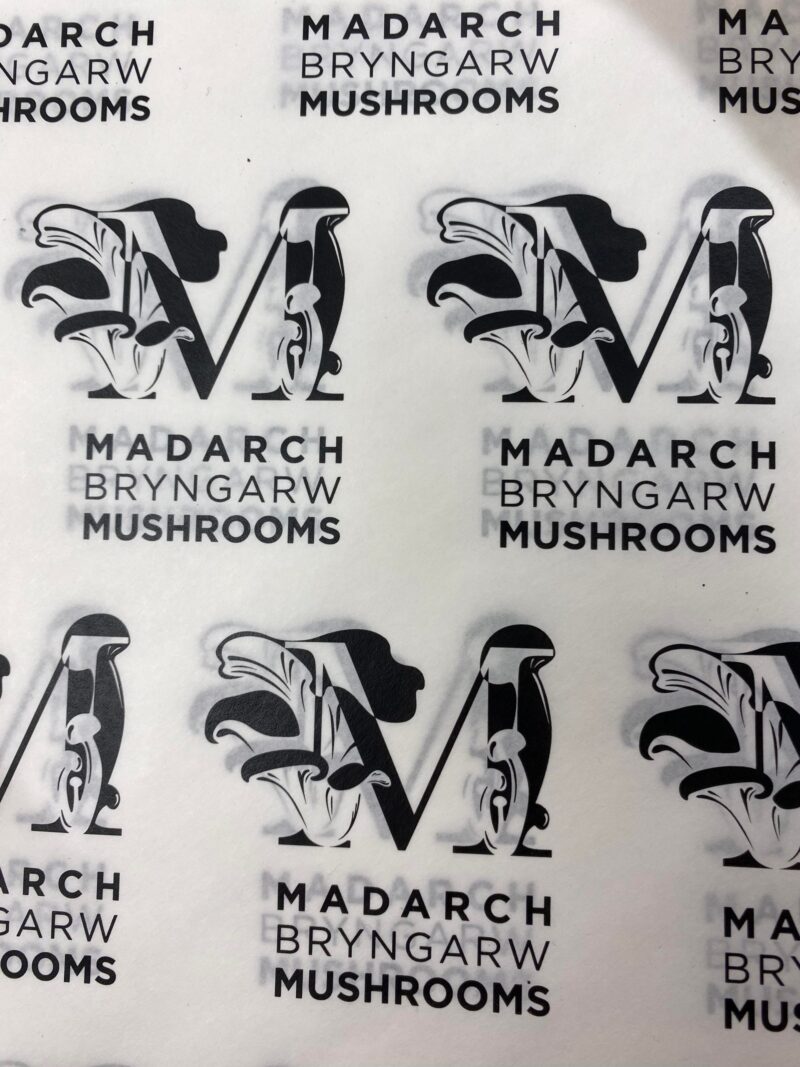 Bryngarw Mushrooms used in dishes across Awen venues