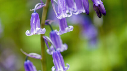Take part in our Summer Photo Competition