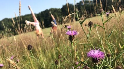 Bridgend Green Gathering in Bryngarw Country Park