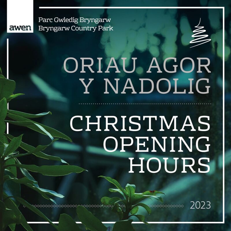 Bryngarw Christmas Opening Hours 2023