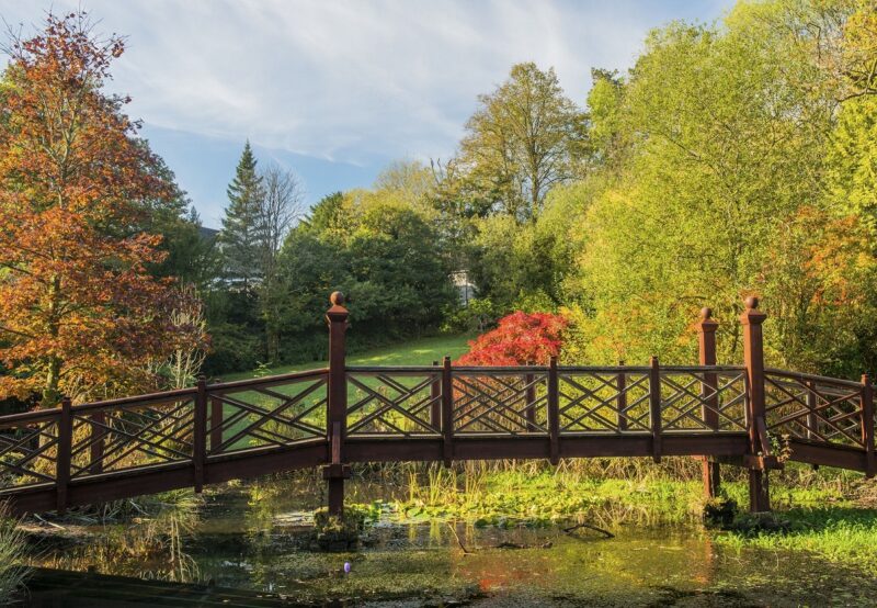 Spending Time in Nature is Good for Your Health!