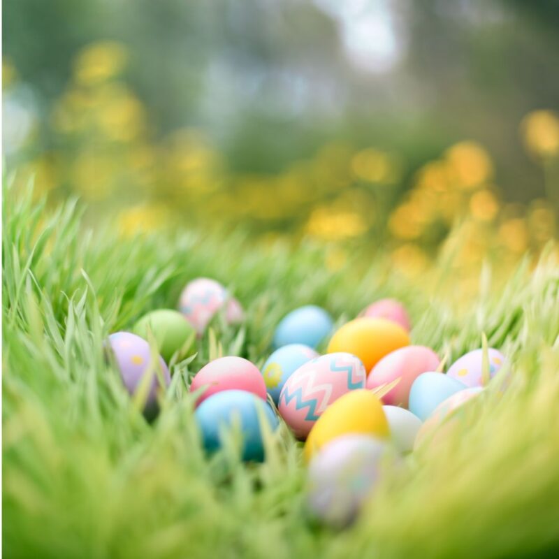 What’s on this Easter at Bryngarw Country Park