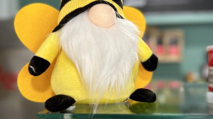 Celebrate World Bee Day at Bryngarw Country Park
