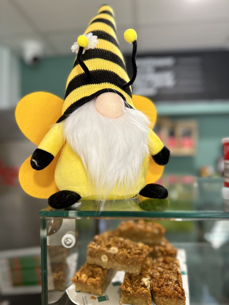 Celebrate World Bee Day at Bryngarw Country Park