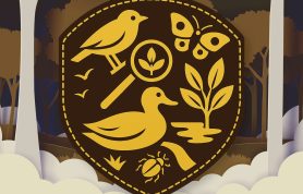 Bryngarw BioBlitz
