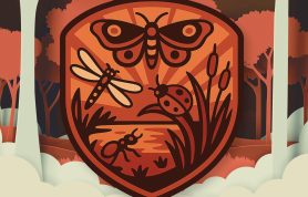 Insect Week Family Day